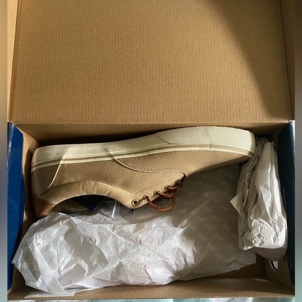 Polo - Ralph Lauren: Thorton Khaki Canvas Low Top Sneakers.